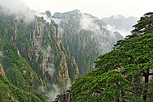 什么药吃了会丧失性功能C1B8D97C5-18975